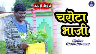 Charota Bhaji I चरोटा भाजी I Sewak Ram Yadav I Suraaj Thakur I Poonam Patel I Cg Comedy Video