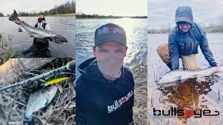 SALMON FISHING IN LATVIA - SALACA RIVER - WITH MY FRIENDS FROM BULLSEYE FISHING