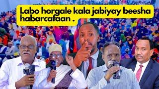 Labo horgale oo kala jabiyey beesha habarcafaan #wararkiiugudambeeyey #borama #somalia