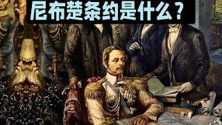 《世界公虾米》尼布楚条约是不平等条约？