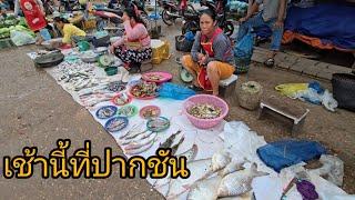 #food #เที่ยวลาว ตลาดเช้าเมืองปากชัน ยาวลงมาท่าแขก #อาหารตามฤดูกาล #ลาว #สปปลาว #สาวลาว #เลาะตลาดตลี