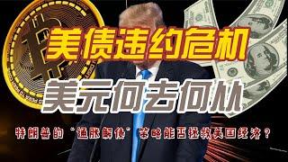 特朗普的“通胀解债”策略能否拯救美国经济？美元危机再现？从布雷顿森林体系到石油美元，揭秘美元的百年沉