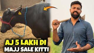 AJ 500000 LAKH DE MAJJ SALE KITTI