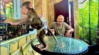 Финик вас просто ЗАЦЕЛУЕТ, а на проделки Анфисы без смеха просто не посмотришь)))