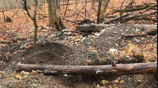 Final Bottle Dig of the Year in a 1800s dump