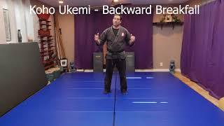 Koho Ukemi - Backward Ninja Break Fall