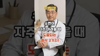 소변이 자주 마려울 때 도움되는 음식3가지! #건강정보#건강
