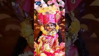 Krishnotsav - The Pre Janmashtami Celebrations, by our VCM Noida center.