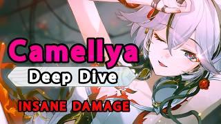 【Math】THE STRONGEST WAIFU! Camellya In-Depth Calculations & Guide【Wuthering Waves】