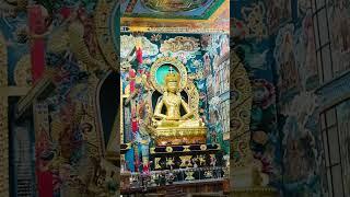. A Journey Through Kodagu | Madikeri to Buddhist Temple #Bylakuppe #GoldenTemple #Madikeri #Kodagu