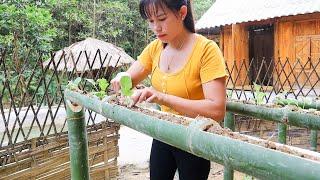 Techniques for growing vegetables in bamboo tubes, Building a farm alone || BUILD LOG CABIN