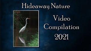 HAWL Nature 2021