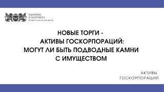 Активы госкорпораций. Могут ли быть подводные камни с имуществом на новых торгах