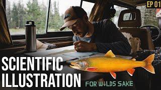 HOW TO ILLUSTRATE AN ARCTIC CHARR | For Wild's Sake Behind The Scenes | Episode 1