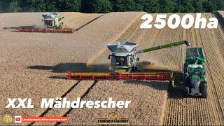 Die 2500ha Ernte! 2x CLAAS LEXION 8900 & 18T Liter Korntank XXL Mähdrescher in der Landwirtschaft