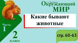 Какие бывают животные. Окружающий мир. 2 класс, 1 часть. Учебник А. Плешаков стр. 60-63