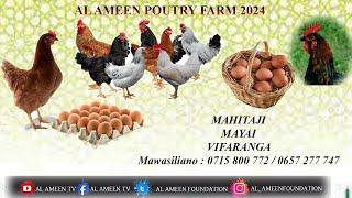 AL AMEEN POUTRY FARM 2024 260102024