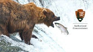 Brooks Lodge in Katmai National Park