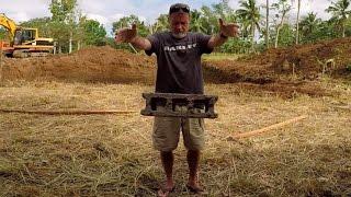 VILLA FELIZ - EPISODE 5: WHY ISN'T THE CAT MOVING? (House Building in the Philippines)