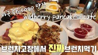 [Mukbang] 미국에서 브런치먹기 2탄! 시카고 맛집탐방, Wildberry panckes brunch