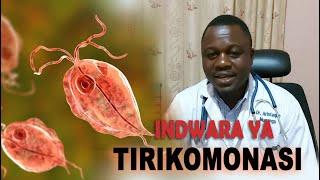 Indwara ya TIRIKOMONASI (Trichomonas Vaginalis): Ibimenyetso byayo, Uko yandura, n'imiti iyivura