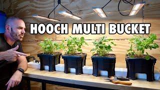 Introducing the Hooch Multi Bucket Hydroponic System