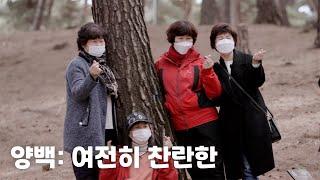 [KBS 다큐공작소] 양백: 여전히 찬란한 #KBS #다큐