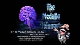 Anatomy Lecture on Brain Stem || Part 2 || Medulla Oblongata || Dr. Yusuf ||