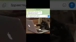 Сколько стоит ландшафтный проект?🫠
