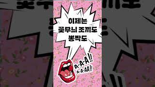 엔디어디자인
