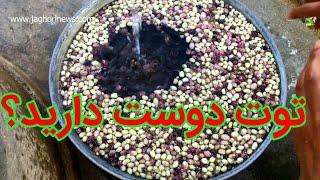 توت ابراییم‌خانی جاغوری بامزه ترین میوه دنیا 