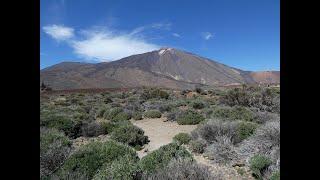 Motor toertocht Tenerife