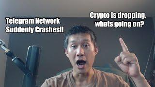 TON Network suddenly crashes!! What happened? What's happening with crypto prices?