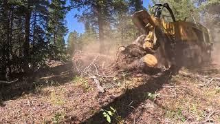 Estes Park blow overs with Estes Valley Tree day 3 and a huge chipper