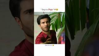 Dog as a pops #aliansari #ferozekhan #pakistanidrama #ytshorts #funny #viral #shorts #dog #laugh