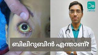 എന്താണ് ബിലിറുബിൻ കൂടാൻ കാരണം? | Bilirubin Meaning, Normal Value & Liver Function Test | Malayalam