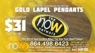 The NOW Television Network Gold Lapel Pin