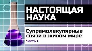 Настоящая наука. Супрамолекулярные связи. Часть 1