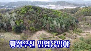 541. 횡성 우천면 임업용임야(가격조정가능) / #횡성 임야