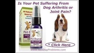 WaysAndHow  - How to Treat Arthritis in Dogs - Arthritis In Dogs - WaysAndHow