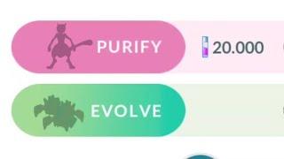  Don't purify this shadow legendary pokemon || pokemon go