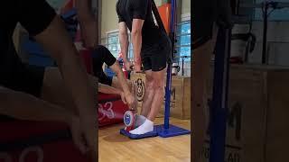 동국대 체육교육과 측정방식 배근력 266kg