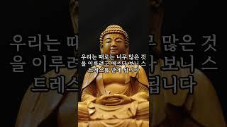 법륜스님의 인상깊은 명언 3가지#법륜#법륜스님#명언#글귀 #relaxingmusic