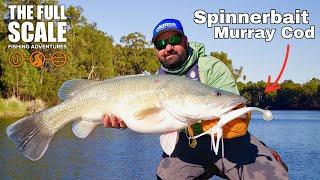 Murray Cod Spinnerbait Fishing | The Full Scale