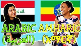 Similarities Between Arabic and Amharic