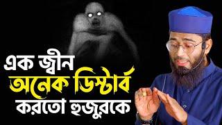 এক জ্বীন অনেক ডিস্টার্ব করতো হুজুরকে | হুজুরের নিজ মুখেই শুনুন | Abrarul Haque Asif