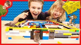 MAKING A LEGO MAZE FOR REAL MICE!