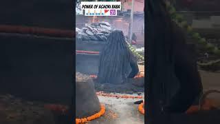 power of aghori baba #shorts #sanatandharma #aghori