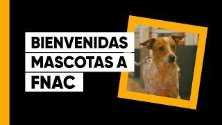 Video Spot Bienvenidas Mascotas a Fnac. Perros. Gatos.