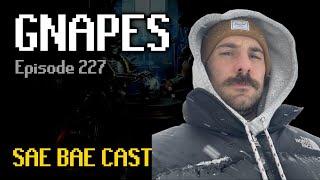 GNAPES - UIM Wipes, Clans, Bronzeman Mode, Wildy, New Skills, Psychedelics, Music | Sae Bae Cast 227